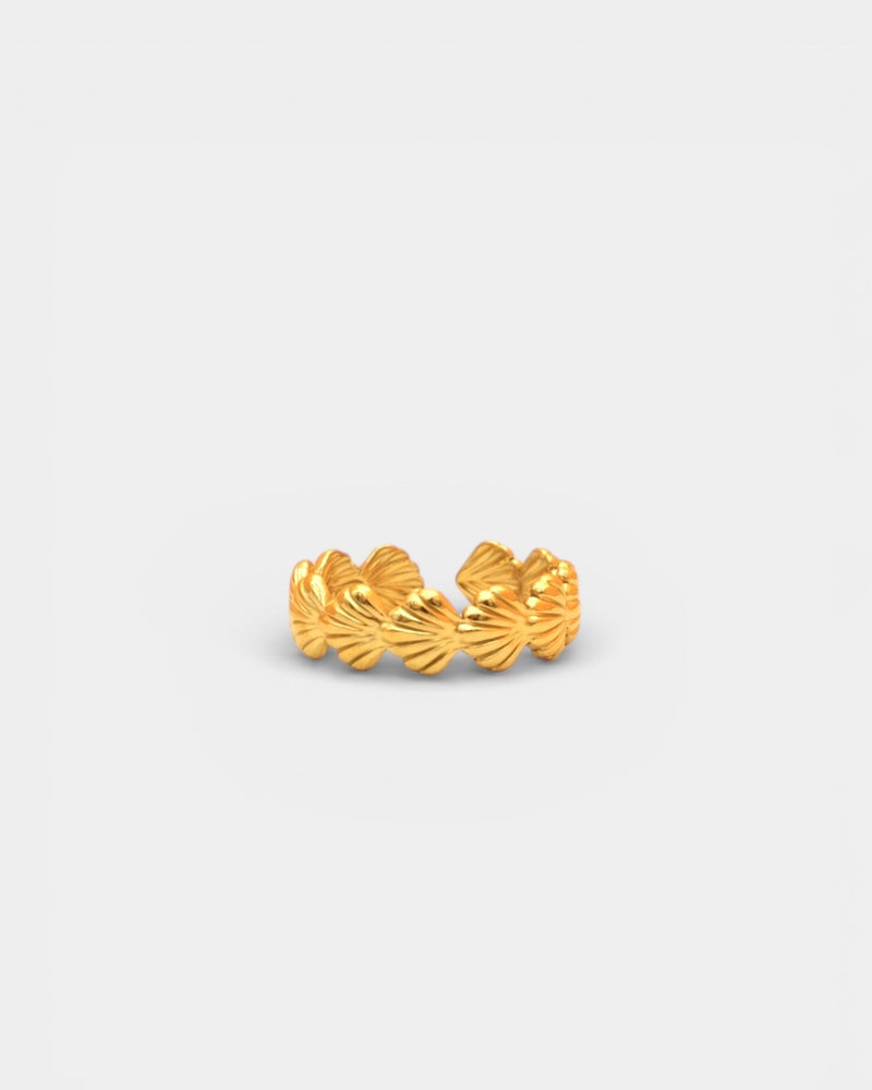 Shell Ring